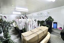Proxima@Gambas (D27), Factory #575418411